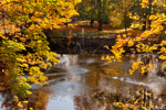 Oktober 2012: Schwänchen-Teich, Cheltenham-Park