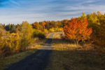 Oktober 2015: Kerstlingeröder Feld