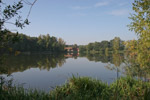 Oberlausitzer Heide- und Teichlandschaft, Dorfteich Guttau